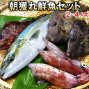 【送料無料】朝獲れ鮮魚通常セット