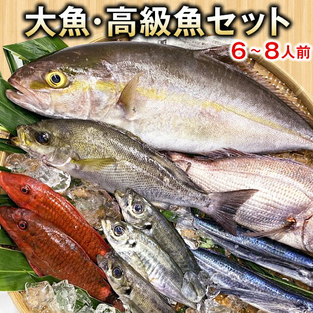 【送料無料】朝獲れ鮮魚！高級魚・大魚セット★五島列島より活〆鮮魚を直送★【10,000円】【税込】【smtb-ms】