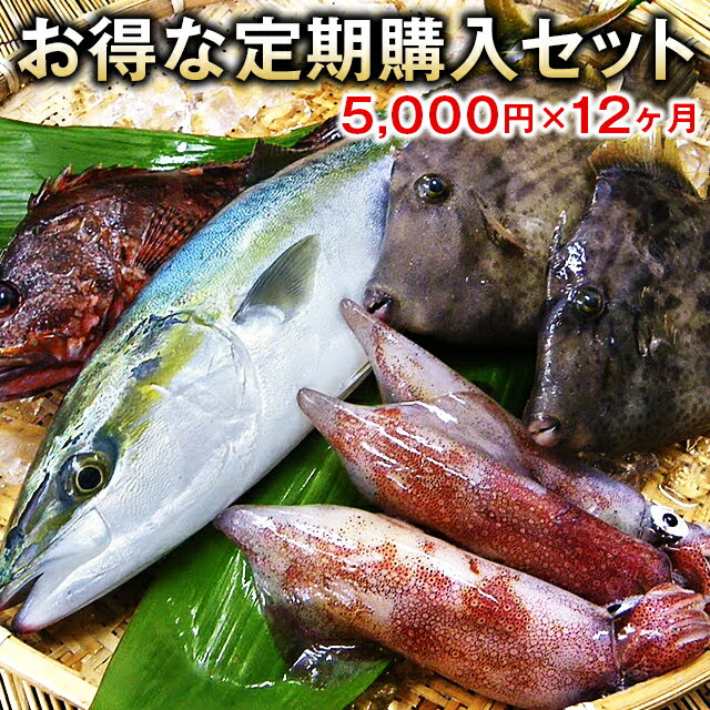 【定期購入】1か月分の商品が無料！五島列島の季節のお魚セット【5,000円×12ヶ月コース】【送料無料】【smtb-ms】