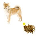 パピー用Mix犬　ドッグフード　大粒　1kg／ドッグフード ドックフード ペットフード 国産 プレミアム ドライフード パピー 成犬 シニア 犬種別 トイプードル チワワ ミニチュアダックス　ミックス犬 国産原材料 マルセイ