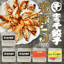 ★ランキング1位★【送料無料】まる千餃子　究極5 【5点セット】かごしま餃子 鹿児島餃子 まるせん レモン餃子 熱狂！1/365のマニアさん マニアさん熱狂 お試し ギフト 手作り 手包み ぎょうざ ギョウザ ギョーザ　餃子マニア