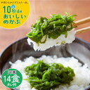 めかぶ ニノさん ZIP! で紹介 高級 10秒deおいしいめかぶ 14食入 宮城 気仙沼 国産 無添加 冷凍 2週間分 三陸産 メカブ 自家製タレ付 丸繁 14入 一部 送料無料