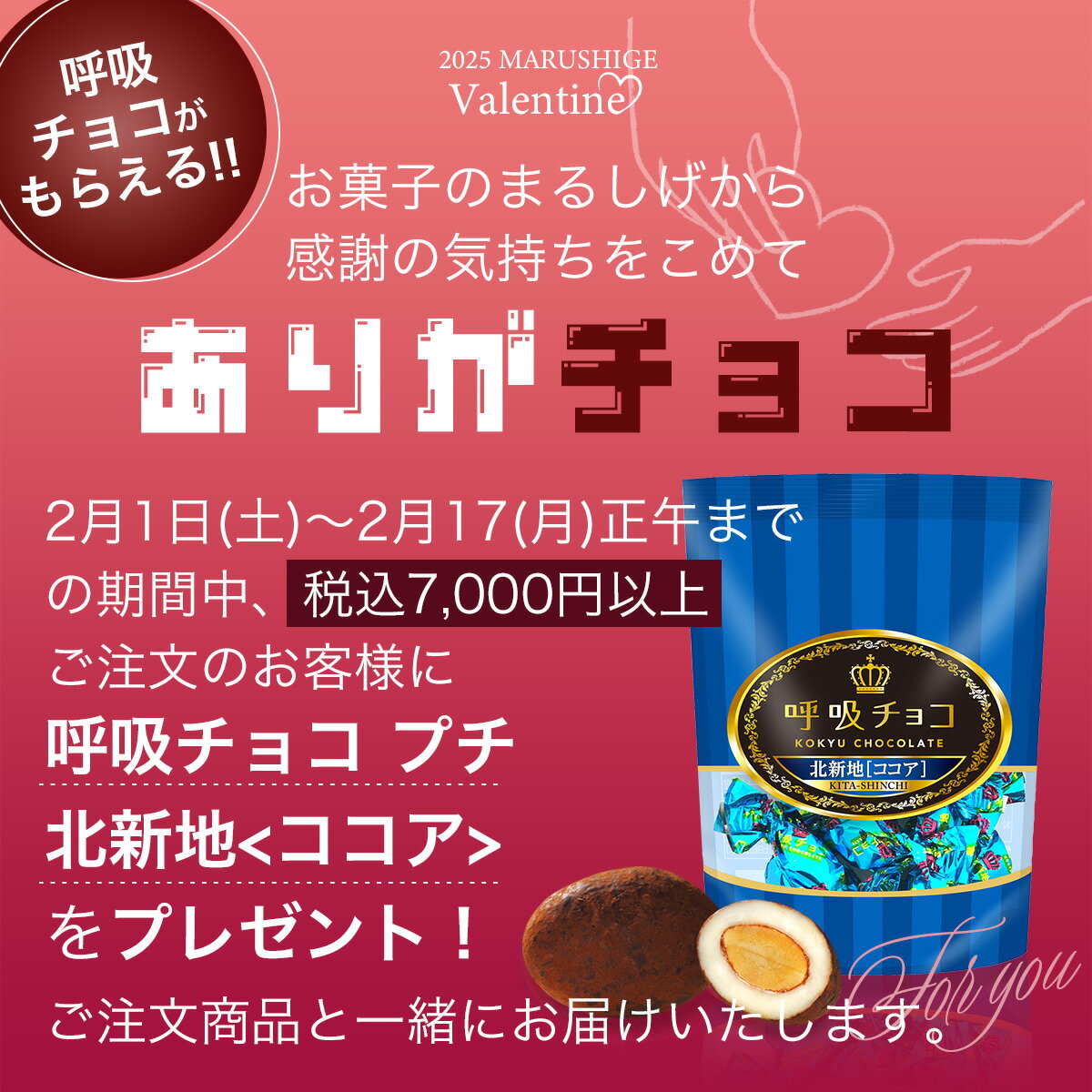 バレンタイン 【まるしげ公式】【送料無料】 呼吸チョコ プチ5袋セット 4種類 小分け袋 5枚付 プレゼント プチギフト チョコ