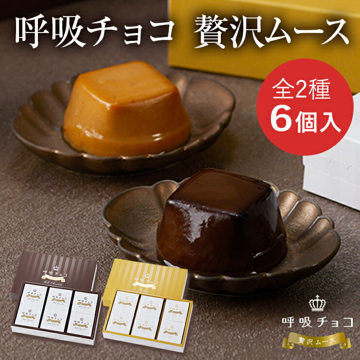 【冷凍】チョコレートムース 40G　40食入 (大冷/洋風デザート/ムース) 業務用