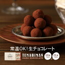 【まるしげ公式】 TEMAHIMAN 生チョコレート 10粒入り 21粒入り ココア 個包装 紙袋付き ギフト 生チョコ