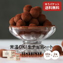 母の日 【まるしげ公式】 【送料無料】TEMAHIMAN 生チョコレート 10粒入り2箱セット 個包装 紙袋付き プチギフト ギフト