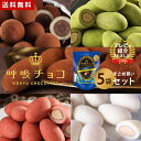 【まるしげ公式】 呼吸チョコ 5袋セット 北新地 ココア 京都祇園 抹茶 ミルク ミルキーホワイト 1袋約20粒入り まとめ買い チョコレート 個包装