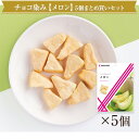 【まるしげ公式】 【送料無料】 チョコが染み込んだ メロン 5袋まとめ買いセット 1袋35g 紙袋付き しみこみショコラ