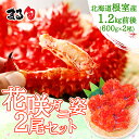 【北海道根室産】花咲ガニ姿2尾セット1.2kg前後(600g前後×2)花咲蟹 希少 北海道産 濃厚 北海道 海鮮 海産物 海の幸 厳選 高級 高品質 手軽 おすすめ グルメ 取り寄せ 贈り物 ギフト お中元 お歳暮 お祝い