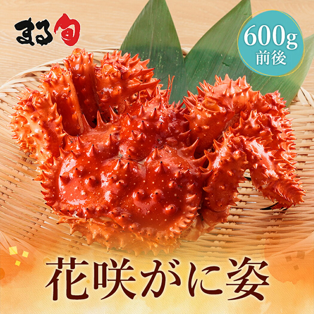 根室産 花咲ガニ 姿600g前後　送料無料花咲蟹 姿 根室 北海道産 北海道 海鮮 海産物 海の幸 厳選 高級 高品質 希少 かに カニ 蟹 グルメ 取り寄せ 贈り物 ギフト お中元 お歳暮 お祝い 内祝い