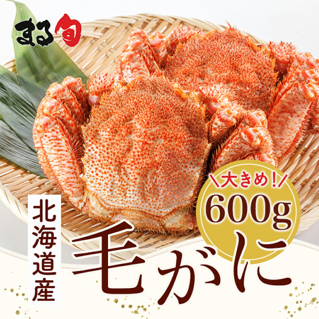 【北海道産】毛がに600g 化粧箱入り 