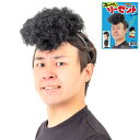 カンタン変身スーパーリーゼント ルカン6312 お笑いかつら ウィッグ カツラ リーゼント