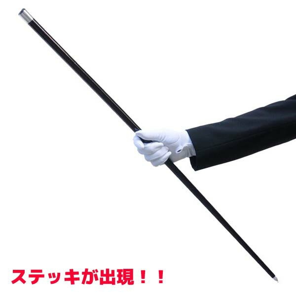 アピアリングケーン 黒 DP-Q6131 手品 マジック 出現するステッキ 2