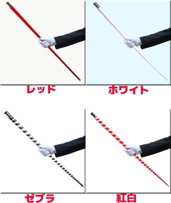 アピアリングケーン・カラータイプ DPグループ...の紹介画像2