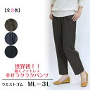 【3,980円以上送料無料!!】世界初!履くマットレス!!幸せラクラクパンツ 無地2パーツ【秋・冬】【3Lまで】