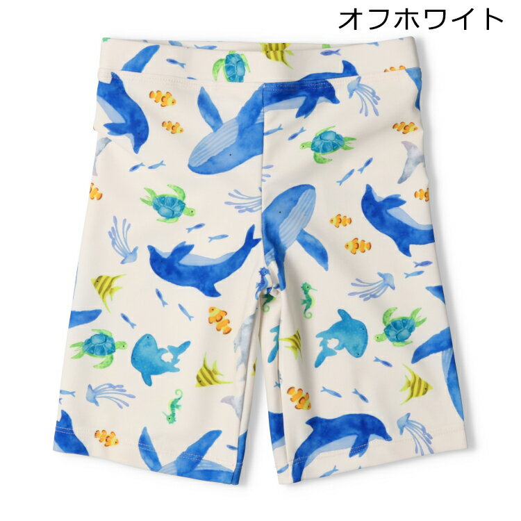 子供服 Kids Foret (キッズフォーレ) 海の生き物総柄スイムパンツ・水着 90cm 100c...