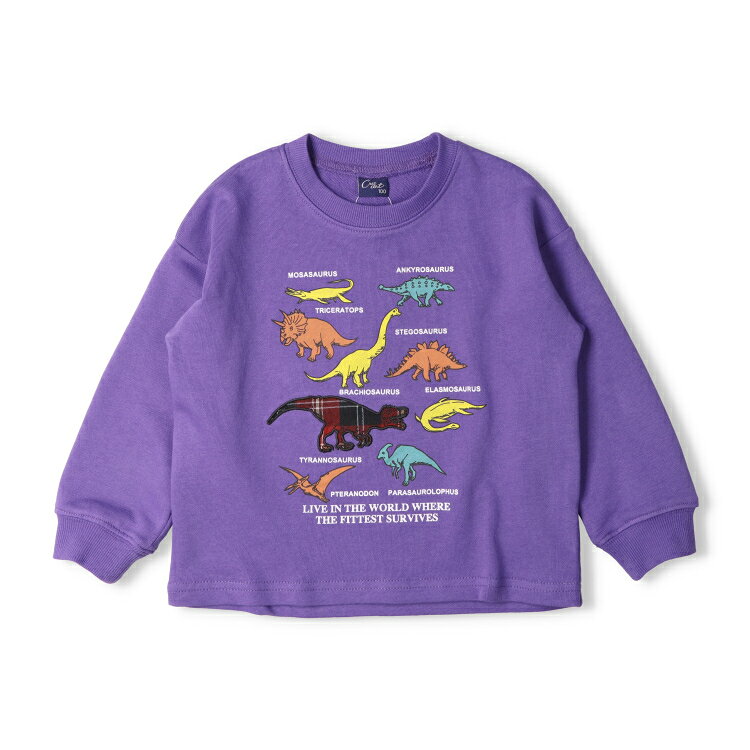 【25秋冬セール50％OFF】子供服 crescent (クレセント) 働く車・恐竜アップリケ裏毛トレーナー・スウェット 80cm 90cm 100cm 110cm 120cm 130cm N54680 marutaka-10037530 こどもの森 e-shop メーカー直営 サンプル画像3