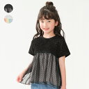 【25夏セール30%OFF】子供服 crescent (クレセント) チュール切替半袖Tシャツ 80cm 90cm 100cm 110cm 120cm 130cm N44888