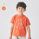 【24夏セール30%OFF】子供服 Daddy Oh Daddy (ダディオダディ) 日本製 プリント半袖Tシャツ 90cm〜130cm V32808