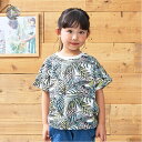 子供服 Daddy Oh Daddy (ダディオダディ) 日本製ボタニカルプリント半袖Tシャツ 90cm 100cm 110cm 120cm 130cm V34...