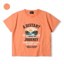 子供服 Daddy Oh Daddy (ダディオダディ) 日本製プリント半袖Tシャツ 90cm 100cm 110cm 120cm 130cm V34818