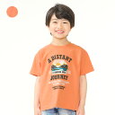 【25夏セール30%OFF】子供服 Daddy Oh Daddy (ダディオダディ) 日本製プリント半袖Tシャツ 90cm 100cm 110cm 120cm 130cm V34818