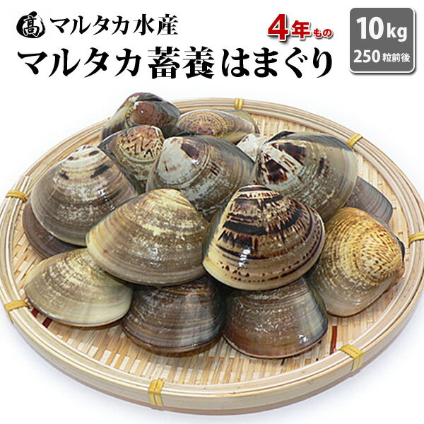 【ふるさと納税】 丸元水産　桑名産蛤(ハマグリ)0.7kg_はまぐり　魚介　貝