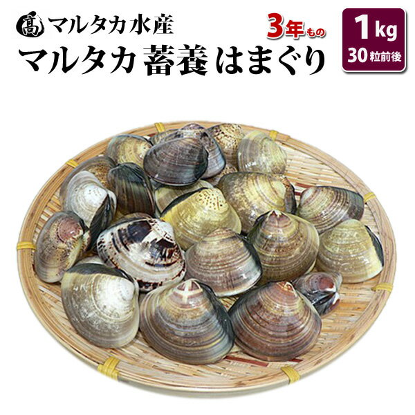 【送料無料】蓄養はまぐり　3年もの4cm〜5cmサイズ蛤(ハマグリ)1kg（30粒前後）入♯貝 はまぐり ハマグ..