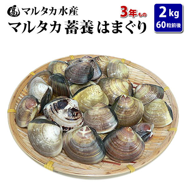 【送料無料】蓄養はまぐり　3年もの4cm〜5cmサイズ蛤(ハマグリ)2kg（60粒前後）入♯貝 はまぐり ハマグリ 蛤 バーベキュー 海鮮 海鮮バーベキュー 直送