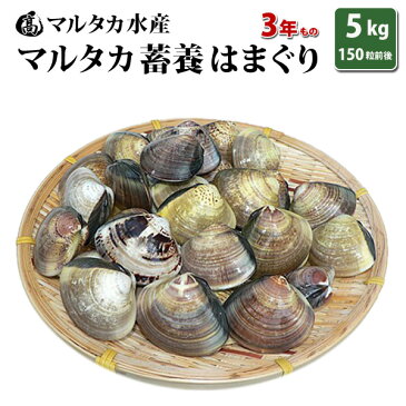 【送料無料】【業務用】大人買い蓄養はまぐり 3年もの4cm〜5cmサイズ蛤(ハマグリ)5kg(150粒前後)入♯貝 はまぐり ハマグリ 蛤 バーベキュー 海鮮 海鮮バーベキュー 直送