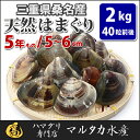 【送料無料】三重県桑名産　天然はまぐり　5年もの蛤（ハマグリ）5cm〜6cm2kg（40粒前後）入♯貝 はまぐり 三重ブランド 桑名 国産 海鮮 バーベキュー 地蛤 2