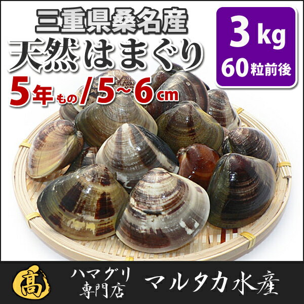 送料無料 三重県桑名産 天然はまぐり 5年もの蛤 ハマグリ 5cm 6cm3kg 60粒前後 入 三重ブランド 桑名のハマグリ 地はまぐり 国産ハマグリ 海鮮バーベキュー 海鮮焼き ハマグリの激安商品を公開