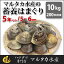 【送料無料】【業務用】大人買い蓄養はまぐり 5年もの5cm〜6cmサイズ蛤(ハマグリ)10kg(200粒前後)入♯バーベキュー 海鮮焼き 海鮮バーベキュー ひな祭り 活はまぐり 直送はまぐり