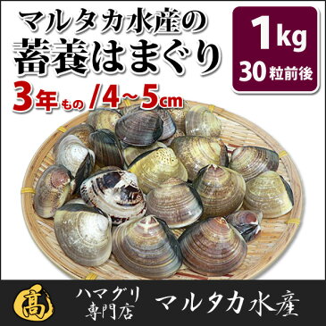 【送料無料】蓄養はまぐり　3年もの4cm〜5cmサイズ蛤(ハマグリ)1kg（30粒前後）入♯貝 はまぐり ハマグリ 蛤 バーベキュー 海鮮 海鮮バーベキュー 直送