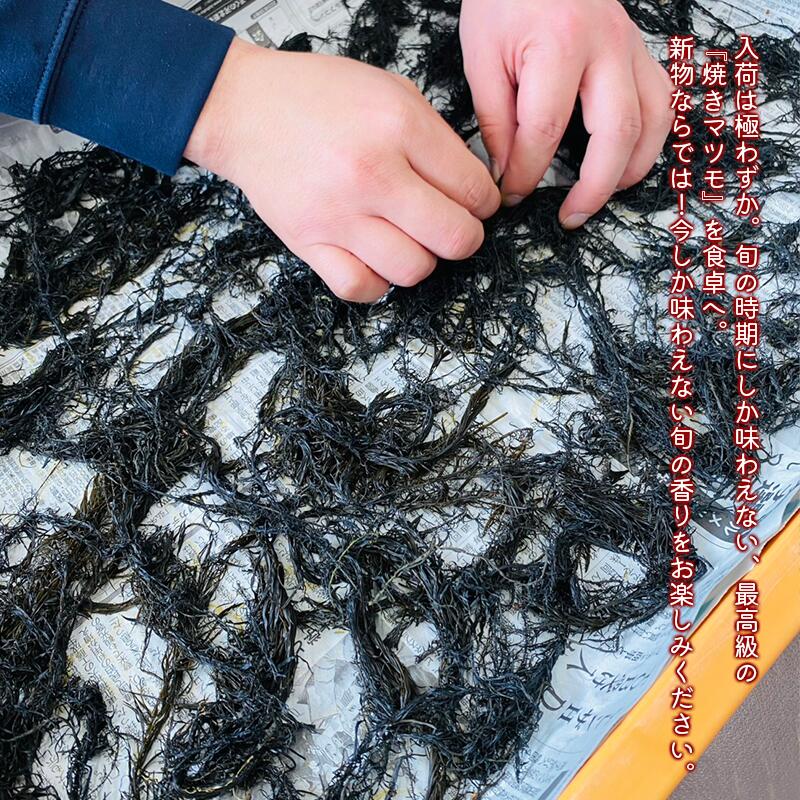 送料無料 新物 希少 北海道産 焼 まつも　※常温発送 marutakisuisan-10000099 海の幸 まるたき三陸石巻店 サンプル画像3
