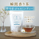 ジャスミン茶 ジャスミンティー 水出し 母の日 ティーバッグ お茶 ペットボトル 粉末 ハーブティー 健康 パウダー ジ…