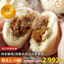 【15%OFFクーポンで2,992円★11日01:59まで】 楽天1位獲得 豚まん 10個入 国産豚肉 淡路島産玉ねぎ 送料無料 \バナナマンの早起きせっかくグルメで紹介/ ウァン 食品 肉まん 保存料 無添加 冷凍 お取り寄せ 中華 惣菜 中華まん 冷凍食品 伊勢 グルメ