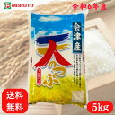 会津産 天のつぶ 5kg てんのつぶ 福島県産 お米 米 こめ 送料無料 福島 5キロ マルト 白米