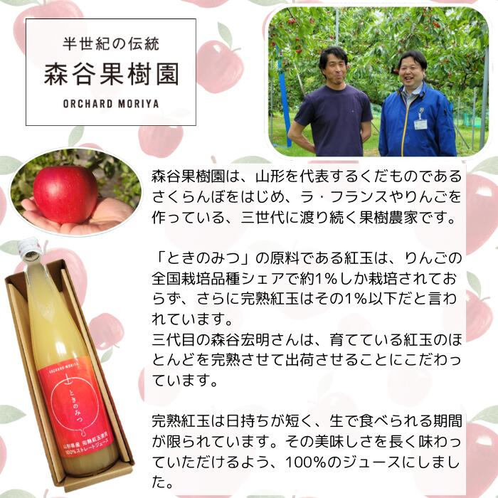 森谷果樹園 ときのみつ りんごジュース 500ml 1本 2025年度産 リンゴジュース 果汁100％ ストレートジュース 山形県産 完熟 紅玉 使用 マルト maruto-gp-10000338 マルト楽天市場店 サンプル画像3