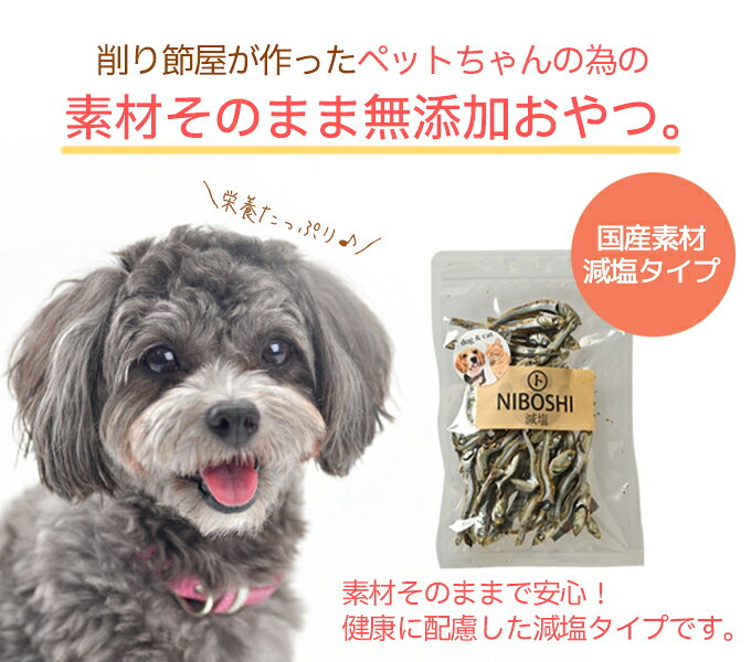 【ワンちゃん・ネコちゃん】減塩にぼし40g 犬 猫 天然おやつ ペットおやつ 無添加 ...