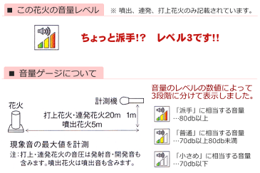 花火 噴出花火 『 ドラゴンダッシュ 』 HNB-FKD-1602噴出花火 大定番 花火 噴出し 噴水　吹出し子供会 幼稚園 イベント 演出 くじ引き 縁日 お祭り 夏祭り 結婚式 二次会 ビンゴ 景品 ノベルティ 噴出し花火