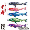 鯉のぼり 単品 千寿 1.2m 口金具付き カラー 黒鯉|赤鯉|青鯉|緑鯉|紫鯉 ポリエステル製 撥水加工 はっ水加工 日本製 徳永鯉のぼり KOT-T-001...