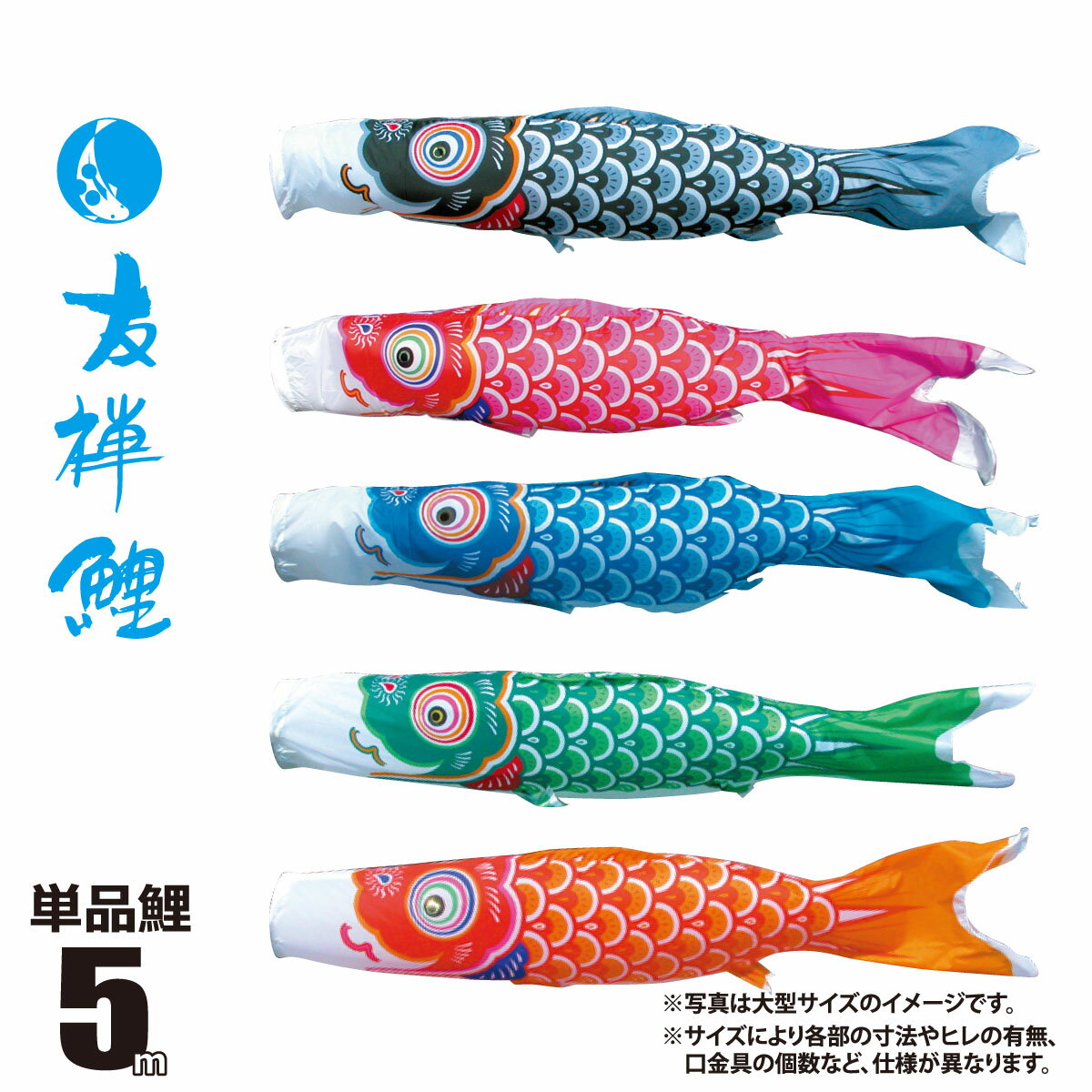 kot-t-003-560.jpg kot-t-003-560.jpg