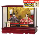 雛人形 コンパクト ケース飾り 初音 柳親王 琵琶・琴飾り付 溜塗り ガラスケース飾り 平安豊久 HNH-HJ-209おひなさま お雛様 ひな人形 かわいい お...
