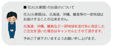 花火 手持ち花火 『 火の玉吹出 』 HNB-TMT-1933手持ち吹出し おすすめ 花火 手持 手持ち吹出 子供会 幼稚園 イベント 演出 くじ引き 縁日 お祭り 夏祭り 結婚式 二次会 ビンゴ 景品 ノベルティ 手持ち吹出し【北海道、沖縄、離島はお届け出来ません】