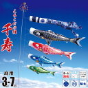 鯉のぼり 庭用 千寿 3m 7点 庭園用 大型セット/ポール別売り 吹流し+鯉4匹+矢車+ロープセット徳永鯉のぼり カタログ 純正品 ポリエステル 撥水加工 家...