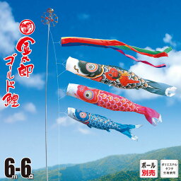 鯉のぼり 庭用 金太郎ゴールド鯉 6m 6点 庭園用 大型セット/ポール別売り 吹流し+鯉3匹+矢車+ロープセット徳永鯉のぼり カタログ 純正品 ポリエステル 家紋/花個紋/名入れ不可 KOT-O-002-962