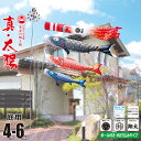 鯉のぼり 庭用 真・太陽 4m 6点 庭園用 ガーデンセット 吹流し+鯉3匹+矢車+ロープ+杭打ち込み方式ポールセット徳永鯉のぼり カタログ 純正品 ポリエステ...