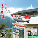 鯉のぼり 庭用 真・太陽 3m 8点 庭園用 ガーデンセット 吹流し+鯉5匹+矢車+ロープ+杭打ち込み方式ポールセット徳永鯉のぼり カタログ 純正品 ポリエステ...