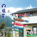 鯉のぼり 庭用 錦龍 3m 7点 庭園用 ガーデンセット 吹流し+鯉4匹+矢車+ロープ+杭打ち込み方式ポールセット徳永鯉のぼり カタログ 純正品 ポリエステル ...